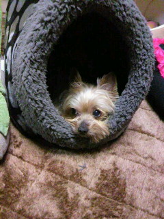 2013120523340000.jpg