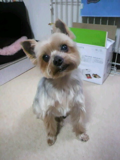 2014043012350000.jpg