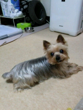 2015091020050000.jpg