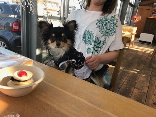 2018.4.21トラ焼きまちりんださん.jpg