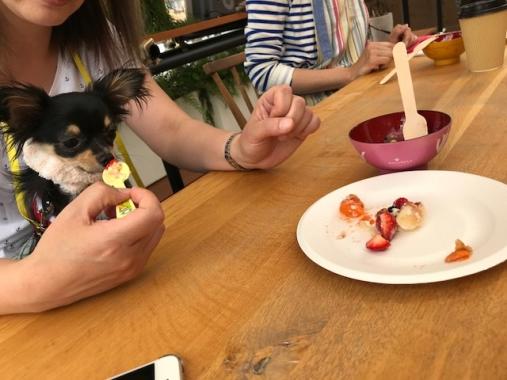 2018.6.23お味見〜.jpg