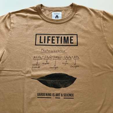 LIFETIME×TACOMA FUJI RECORDS アニバーサリーコレクション