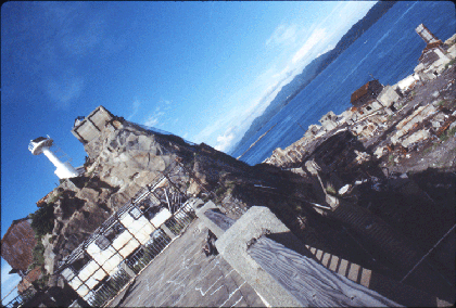 16.島の状況3