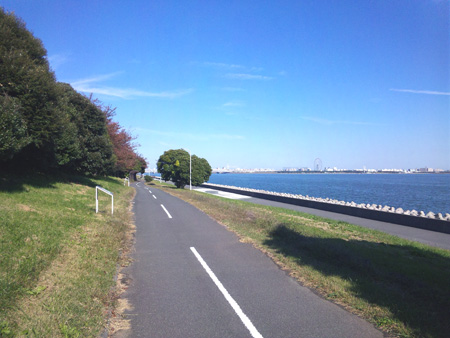 123 お台場周回練習、若州海浜公園サイクリングロード