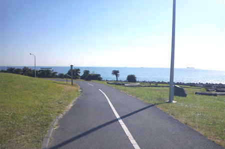 122 お台場周回練習、若州海浜公園サイクリングロード