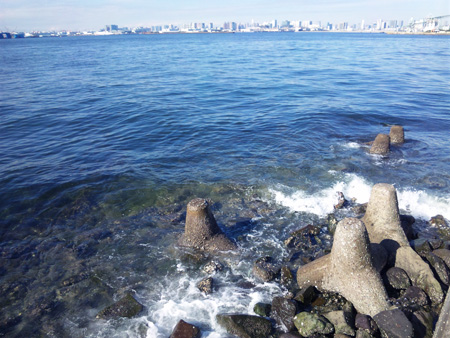 119 お台場周回練習、若州海浜公園サイクリングロード