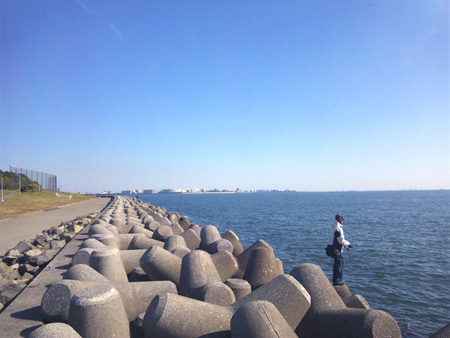 117 お台場周回練習、若州海浜公園サイクリングロード
