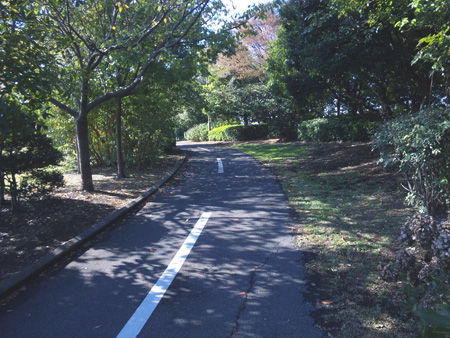 116 お台場周回練習、若州海浜公園サイクリングロード
