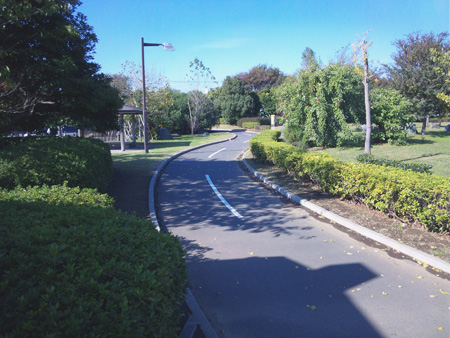 115 お台場周回練習、若州海浜公園サイクリングロード