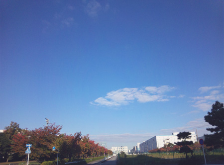 107 お台場周回練習、若州海浜公園サイクリングロード