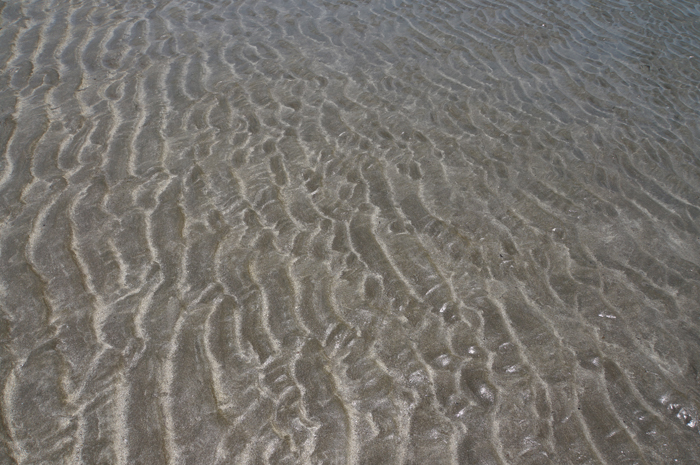 411砂浜の模様.JPG