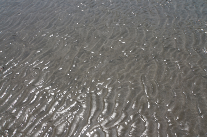 609砂浜の模様.JPG