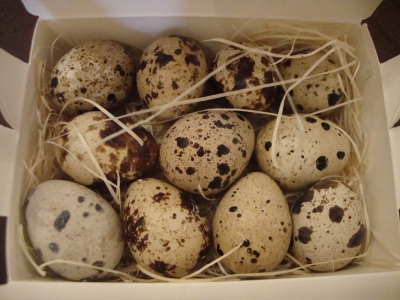 うずら屋ですっかりおなじみの『エルフランス』