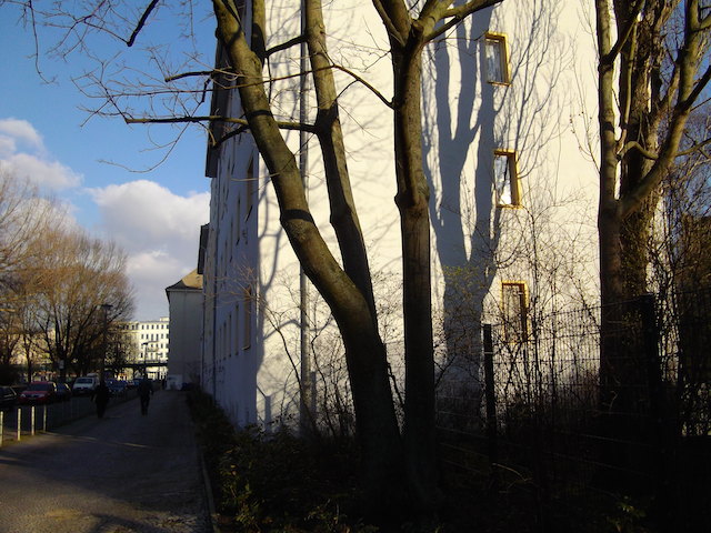 IMGP4171.JPG