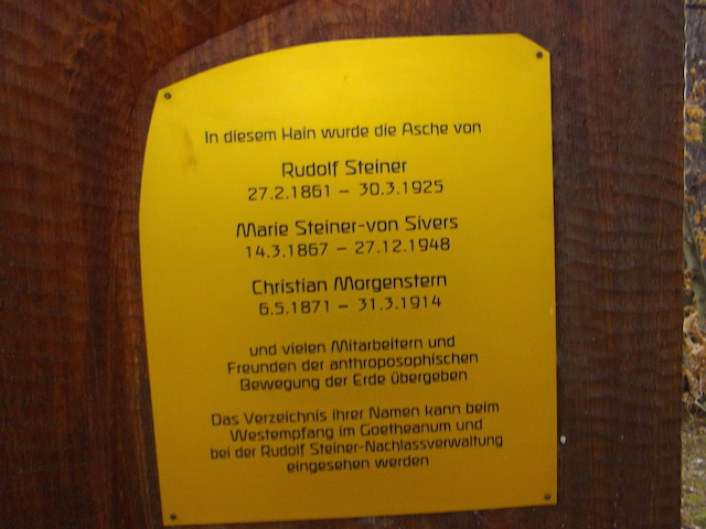 IMGP4222.JPG