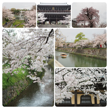 16040403.jpg