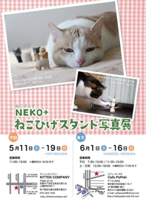 nekohige2019_omotemmm.jpg