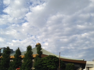 image2.JPG