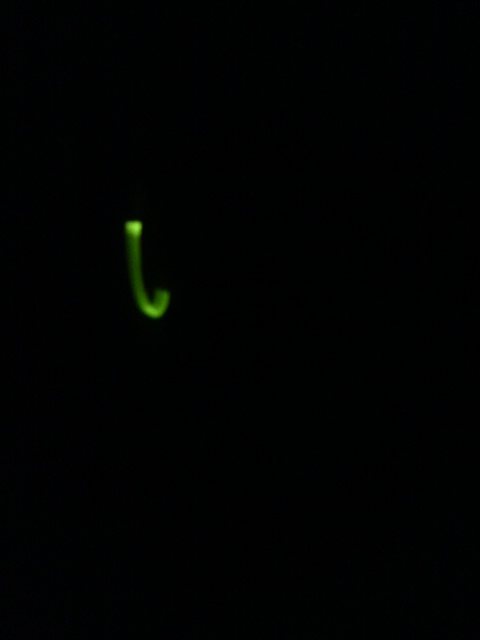2010062121300000.jpg