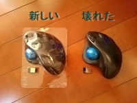 マウス