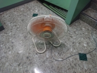 ¥Ó¥ëÀ¶ÁÝ