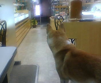 20050820_7949.jpg