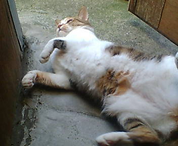20050825_11931.jpg