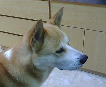 20050826_12541.jpg