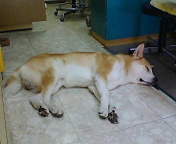 20050923_32770.jpg