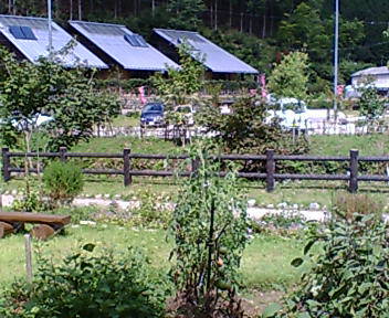 20050926_35035.jpg