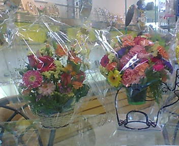 20060518_177296.jpg