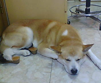 20060619_195138.jpg