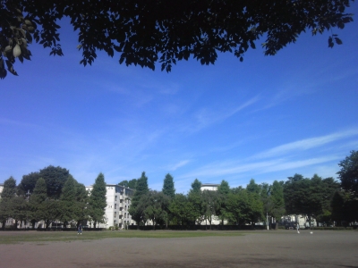 150628_082433.jpg