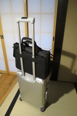 ELA Business Bag 011