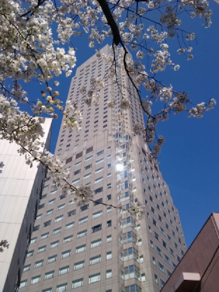 resize_20140331094142.jpg