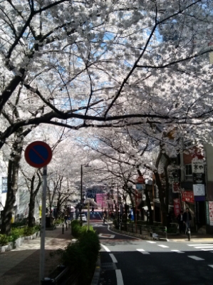 resize_20140331094423.jpg