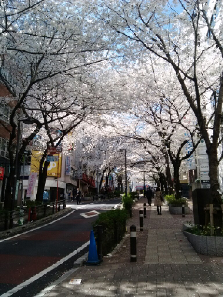 resize_20140331094318.jpg