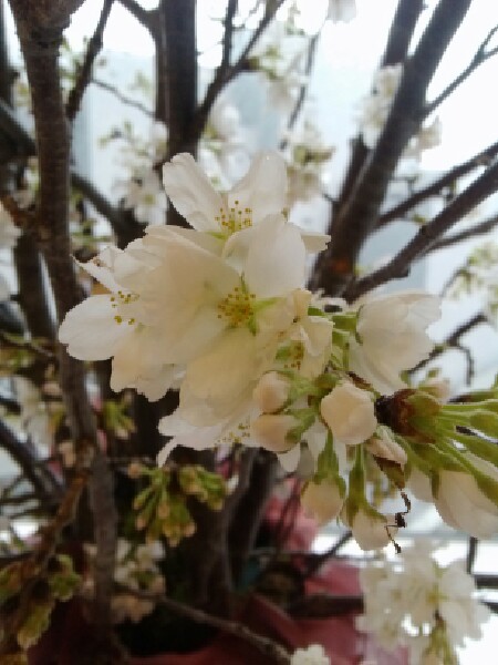 resize_20140403213152.jpg