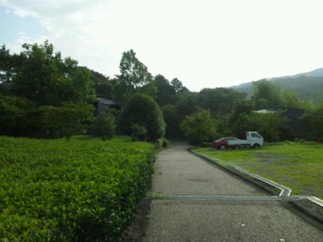 20120709_070156.jpg