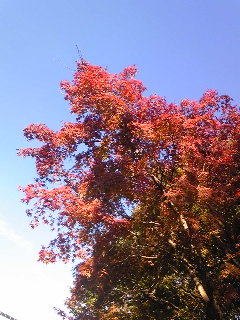 Image032.jpg