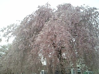 090417_163930_ed.jpg