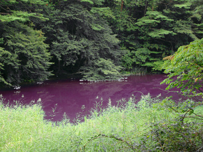 五色沼