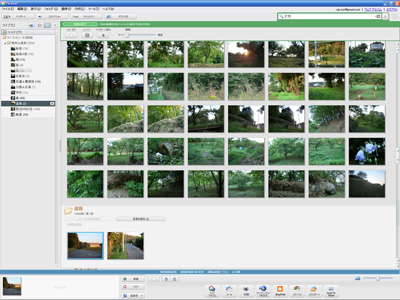 Picasa