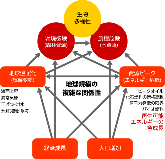 地球規模の複雑な関係性