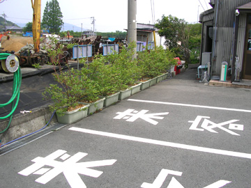 地域循環型社会の取り組み例〜ブルーベリー栽培〜