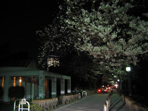 青山墓地
