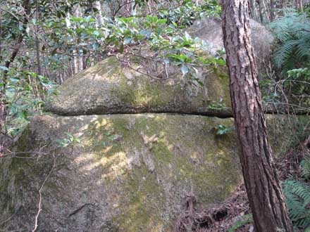 山の中の岩1
