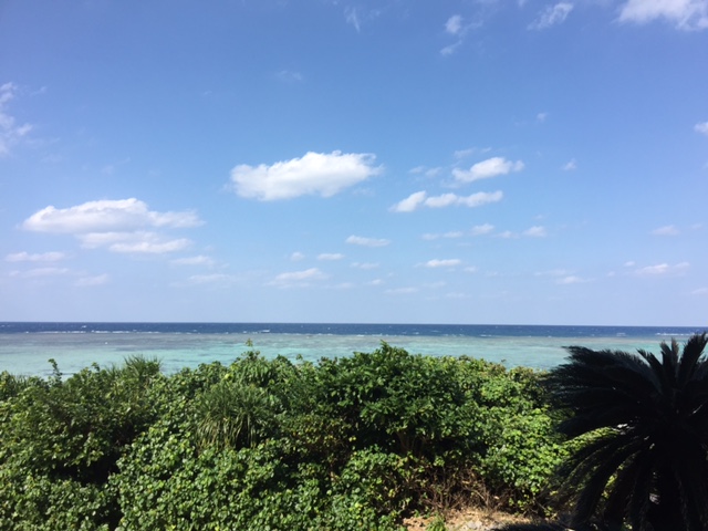 image1.JPG