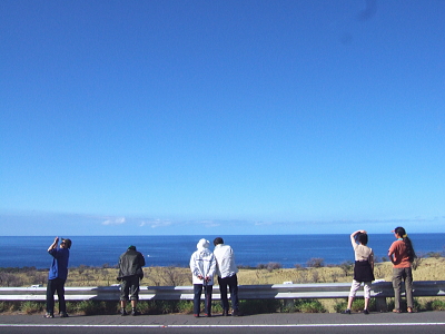 クジラロード
