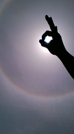 20090515113733.jpg